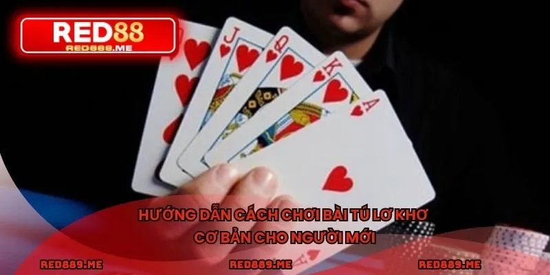 Hướng dẫn cách chơi bài tú lơ khơ cơ bản cho người mới